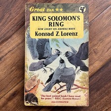 King Solomon's Ring - Konrad