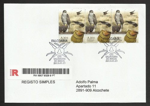 Portugal northern goshawk - portugal,