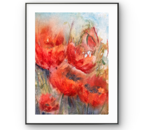 Original watercolour poppy - watercolour,