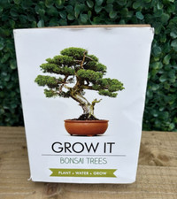Grow your own BONSAI KIT by Gift republic new in box