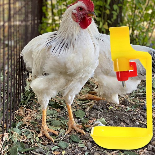 Pcs chicken water nipples - 8,