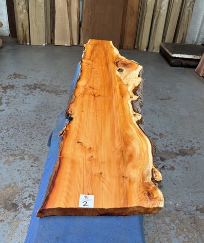 Yew waney edge - waney, 25mm