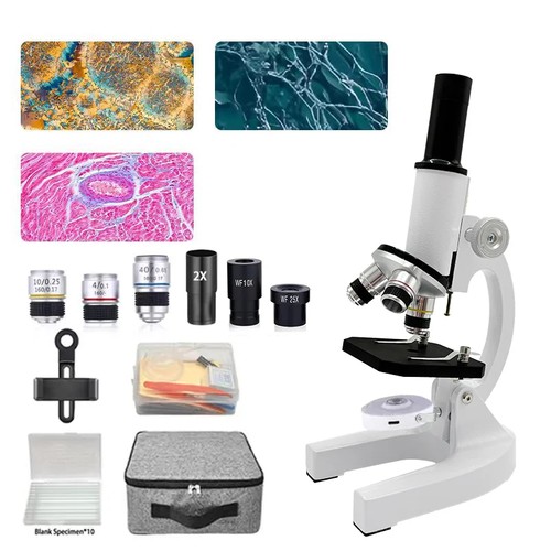 40x 2000x magnification - 40x-2000x,