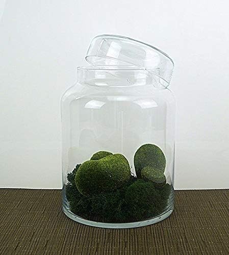 Jar candy biscuit - jar, pasta