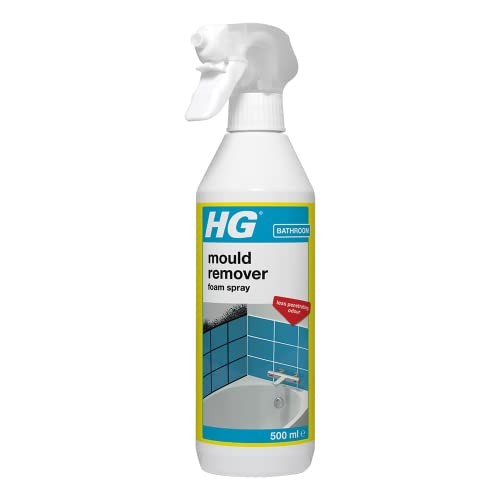 Mould remover foam spray - mould,