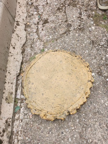 Concrete stepping stones - concrete,