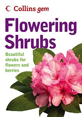 Collins gem flowering shrubs - gem,