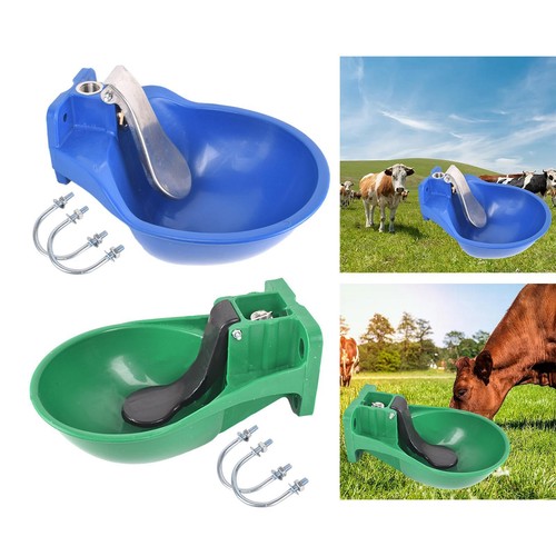 Automatic cow drinking water - automatic,