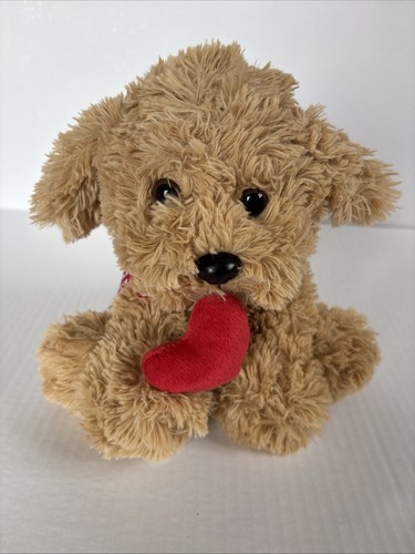 Cute puppy with - puppy, heart