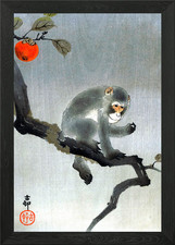 Monkey in Persimmon Tree