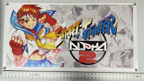 Street fighter alpha sakura - fighter, 2