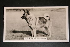 ELKHOUND  Champion   Vintage