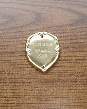 GOLD ENGRAVING ENGRAVED SHIELD PLAQUE 20 LETTERS ANNUAL SPORTS TROPHIES 