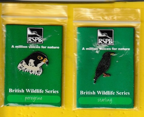 Rspb pin badge - -, peregrine