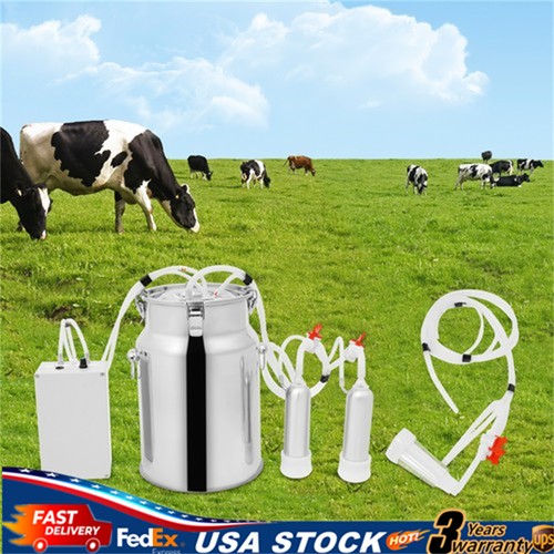 Pulsation electric cow - cow, milking