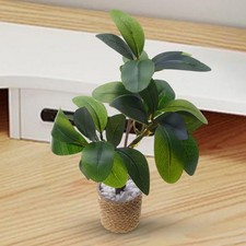 1/6 Miniature Dollhouse Plant