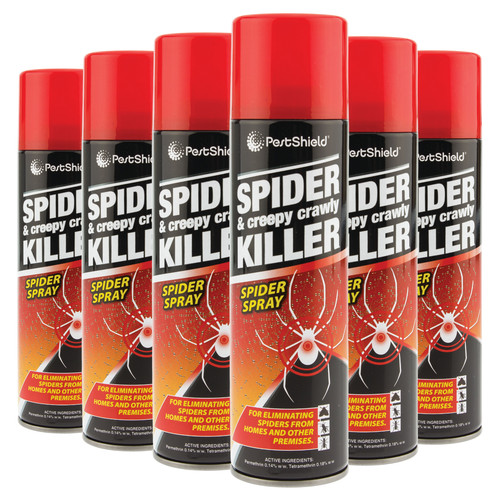 Spider creepy crawly insects - crawly,