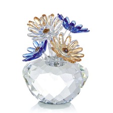 NOYISTAR K9 Crystal Blue and