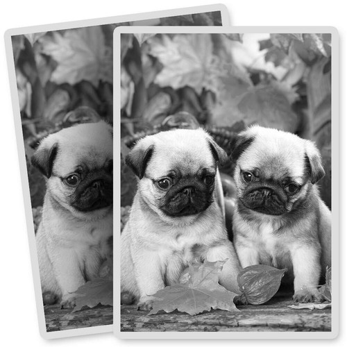 Vinyl stickers 7x10cm - x,