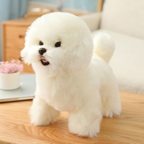 Bichon frise plush - bichon, toy