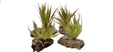 Artificial Vivarium Plants, Set Of Four Mini Plants Grasses & Ferns