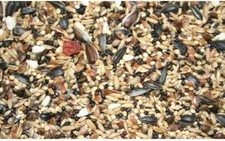 Specialist greenfinch mix - mix, wild