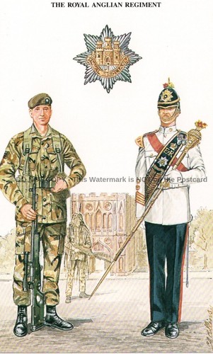 The royal anglian regiment - the,