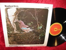 1971 UK NM- BBC RED 103M MONO No Artist – Woodland Birds