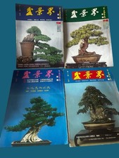 Vintage Lot / 4 Bonsai World