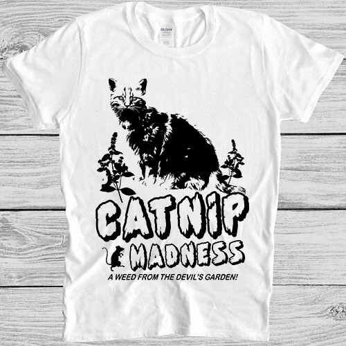 Catnip madness cat public - catnip,