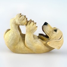 Golden Labrador Retriever