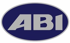ABI LOGO X2   VINYL