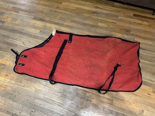 Horse tack red - horse, canvas