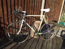 Raleigh Scorpio Twelve Retro
