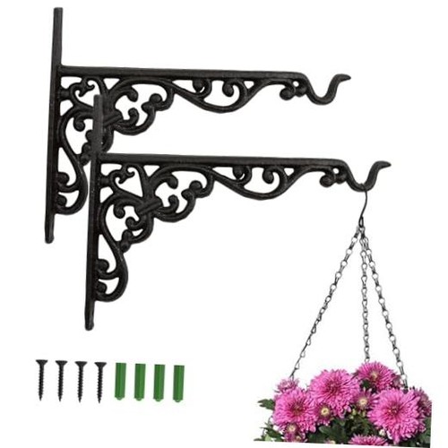 Pack inch hanging - 10, plant