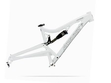 Frame Pivot Bearing Kit |