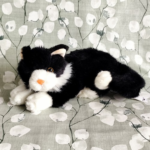 Animal alley black white cat - animal,