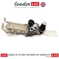 EGR Valve and Cooler Skoda