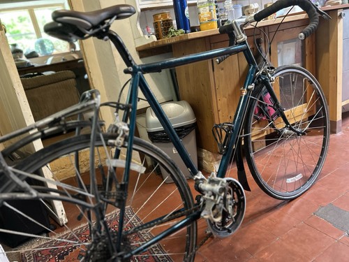 Thorn audax road touring - thorn, bike