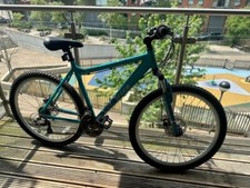 Apollo Entice Womens Mountain