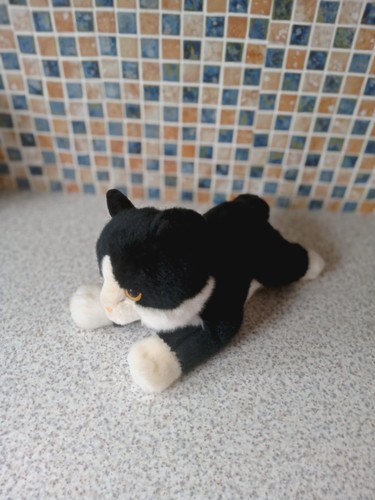 Aurora black white cat teddy - cat,