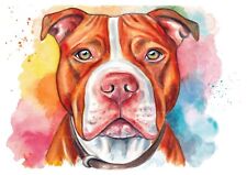 Pit Bull Terrier Original