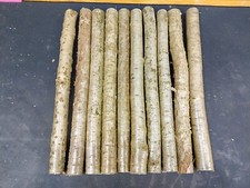 10 x 30cm , 20mm Thick Natural Hazel  Branches Stick blanks wands Drum sticks