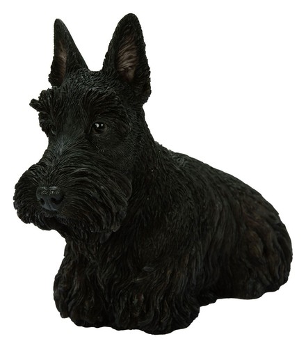 Vivid arts scottish terrier - arts,