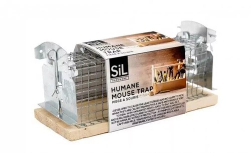 Humane mouse trap wood - mouse,