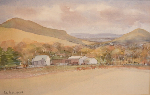 Australian watercolour buxton - australian,