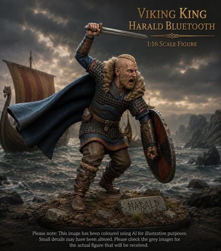 Scale medieval viking - 1:16,