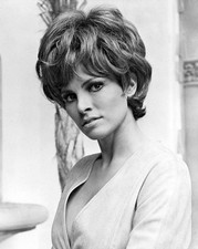 Raquel Welch [1037984] 8x10