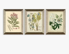 [£175] John Lewis Botanical