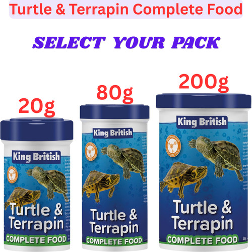 King british turtle terrapin - king,